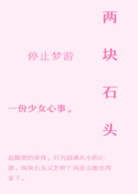 两块石头贷款8个亿